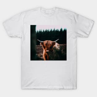 Scottish Highland Cow Cattle Oil Painting T-Shirt